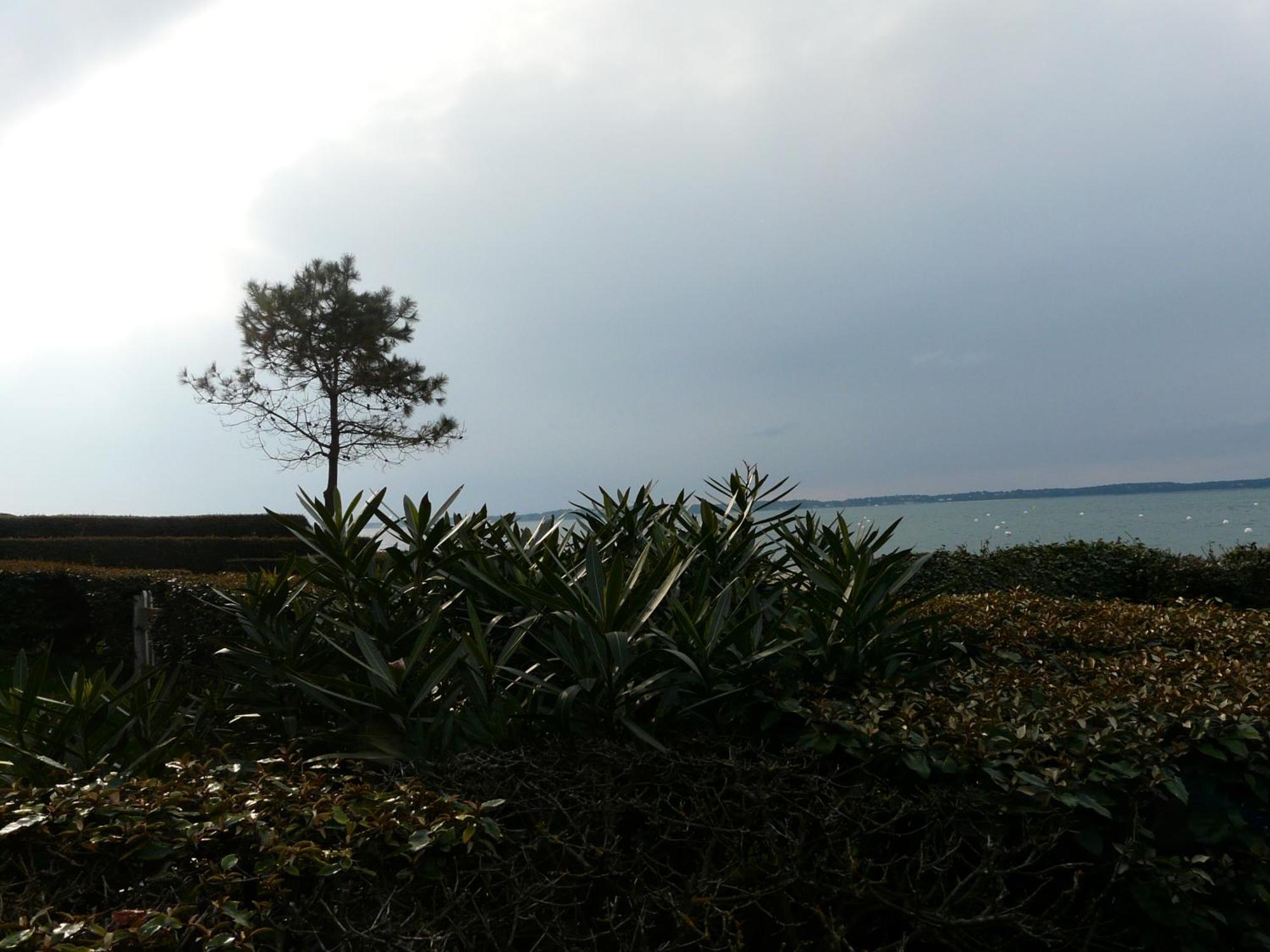 Arcachon Pereire Bord De Plage Exteriér fotografie